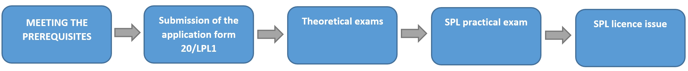 diagram przedstawiający etapy procesu wydania licencji w języku angielskim